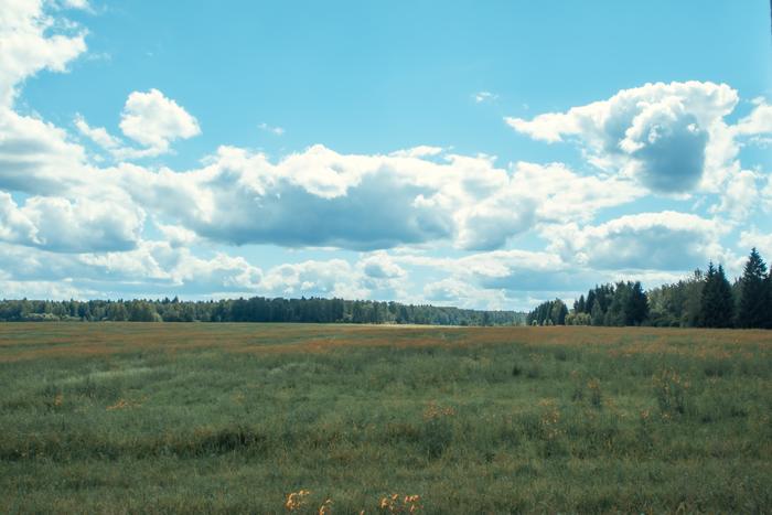 Тарутино и окрестности