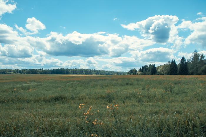 Тарутино и окрестности