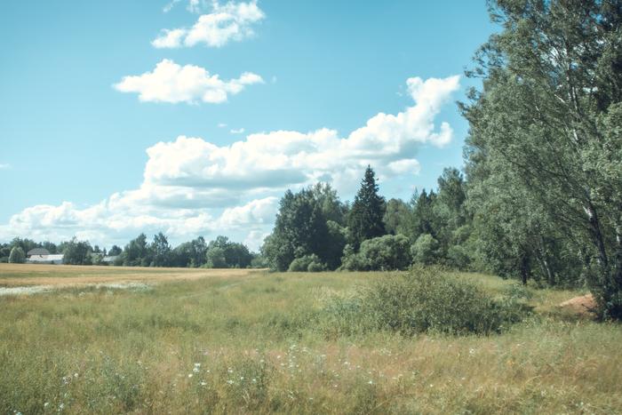 Тарутино и окрестности